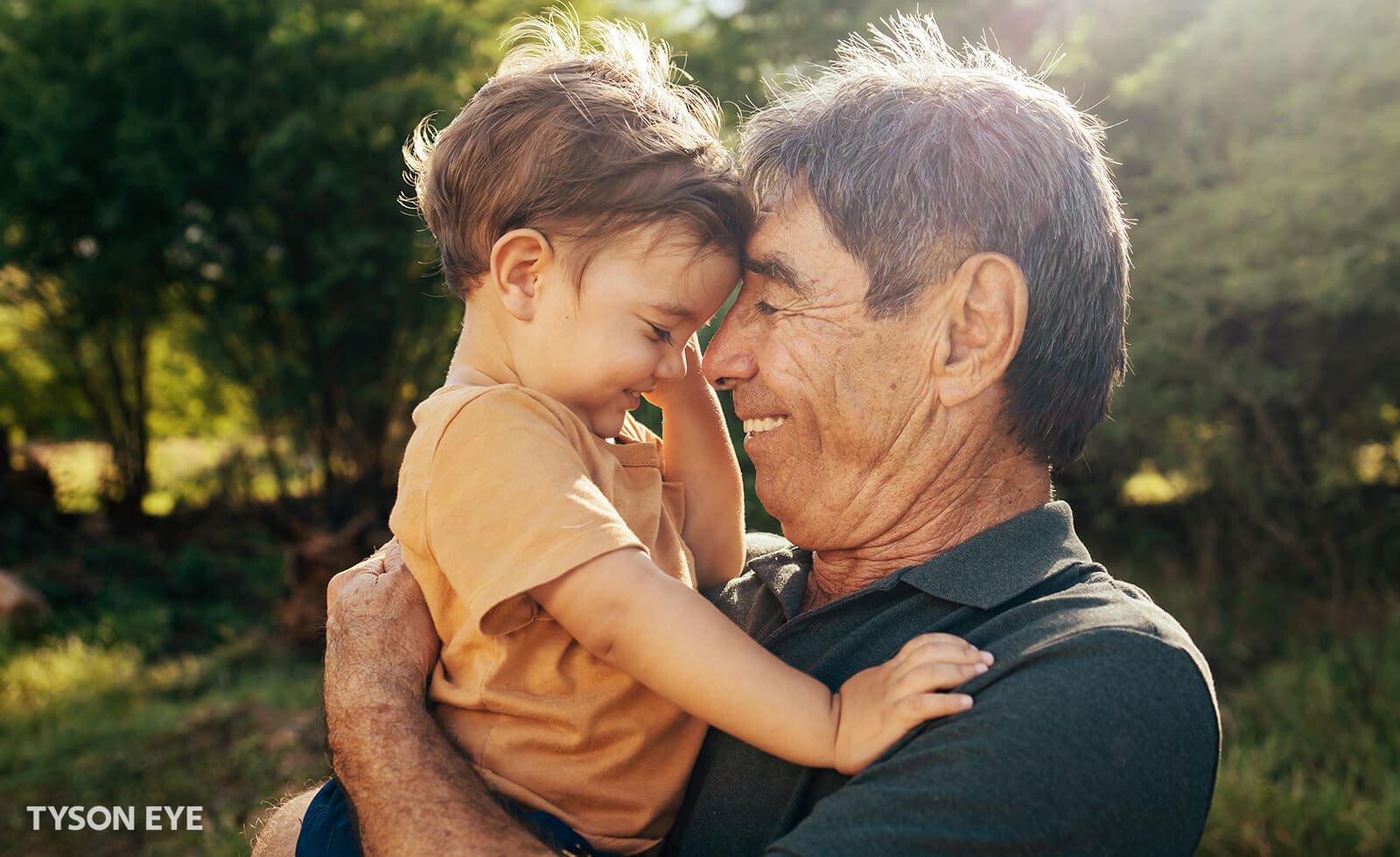 What is the Treatment for Cataracts?