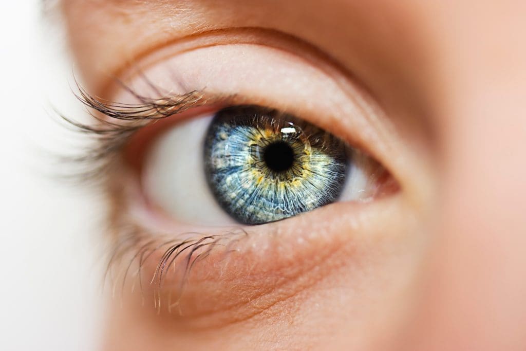 Woman's Eye